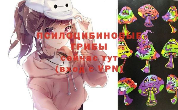 амф Арсеньев
