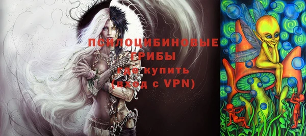 амф Арсеньев