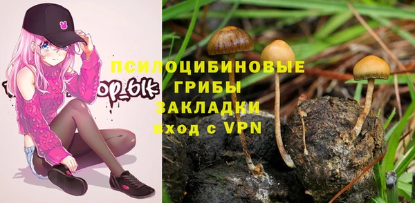 амф Арсеньев