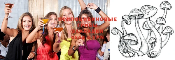 эйфоретик Аркадак