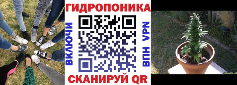 Конопля Ganja  Сосенский 